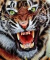 Рисунки обычной шариковой ручкой не отличить от фото